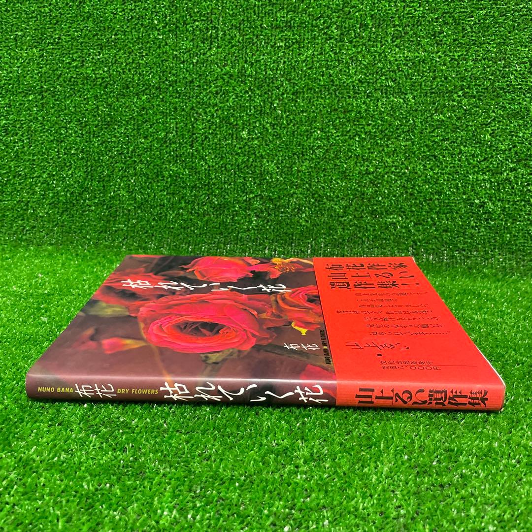 【美品】山上るい 枯れていく花