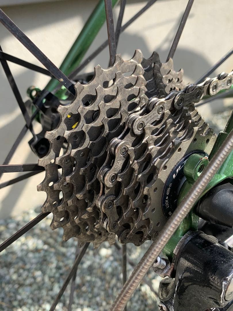 Calamita CXオリーブ