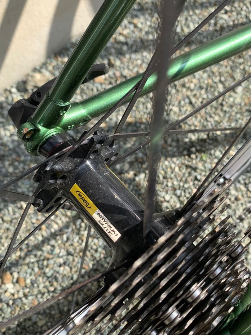 Calamita CXオリーブ