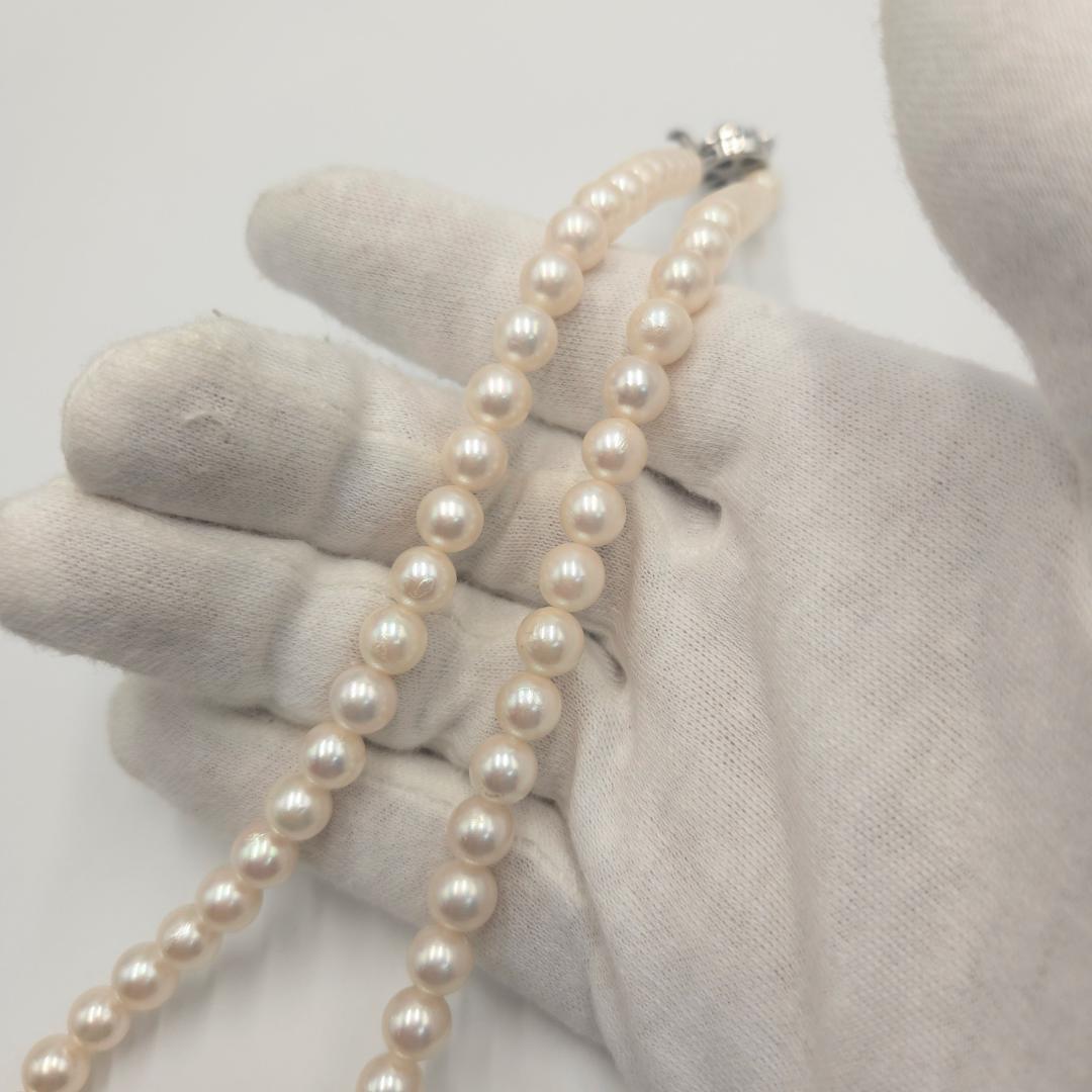 アコヤ あこやパール 本真珠 ネックレス akoya Perl silver