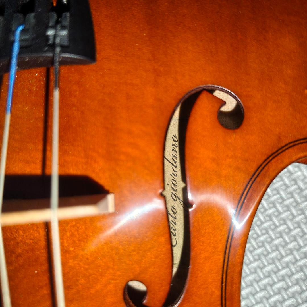 Carlogiordano カルロジョルダーノ VS-f1 1/2 ヴァイオリン