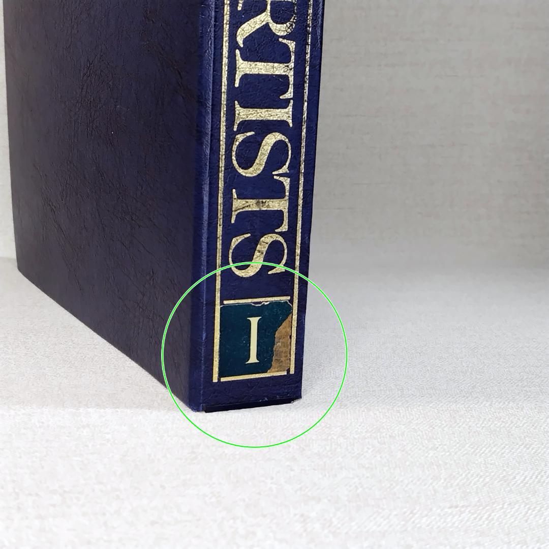 THE GREAT ARTISTS 西洋絵画の巨匠たち 全10巻 100冊セット