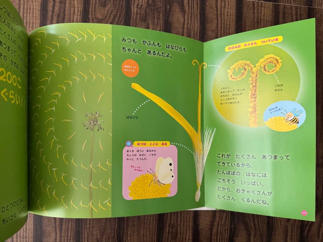 たんぽぽ　ちいさなかがくのとも　キンダーブックしぜん　ビッグサイエンス