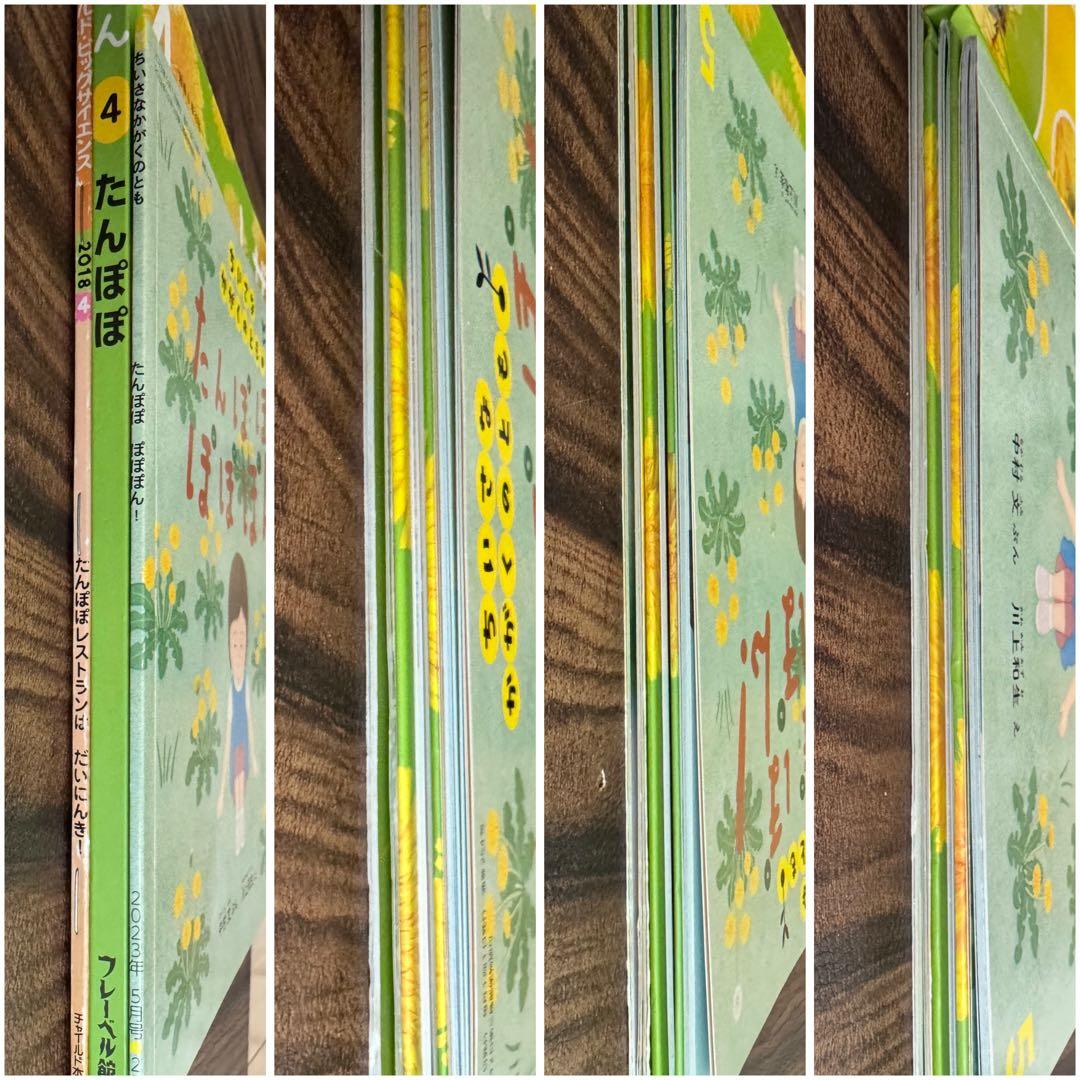 たんぽぽ　ちいさなかがくのとも　キンダーブックしぜん　ビッグサイエンス