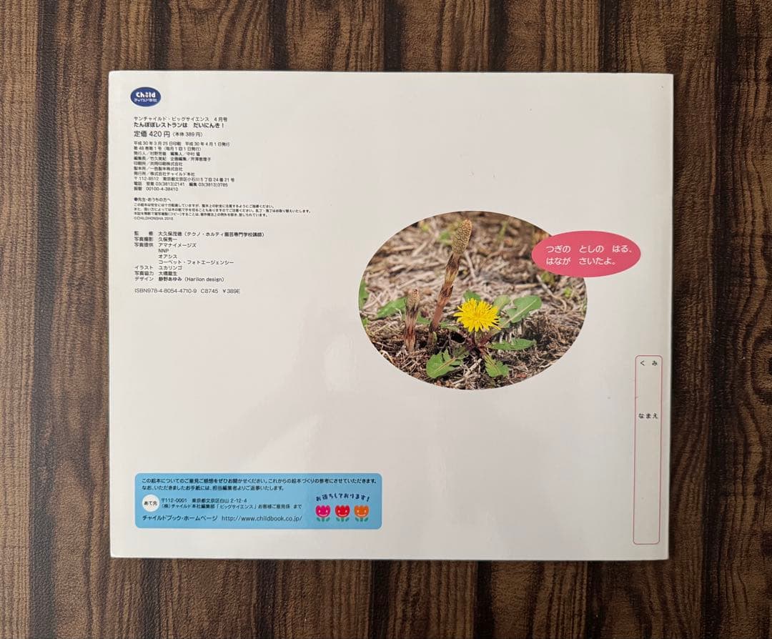 たんぽぽ　ちいさなかがくのとも　キンダーブックしぜん　ビッグサイエンス