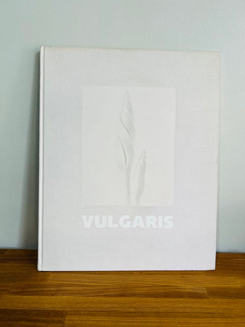 希少　2000部 VULGARIS ロン・ヴァン・ドンゲン 写真集