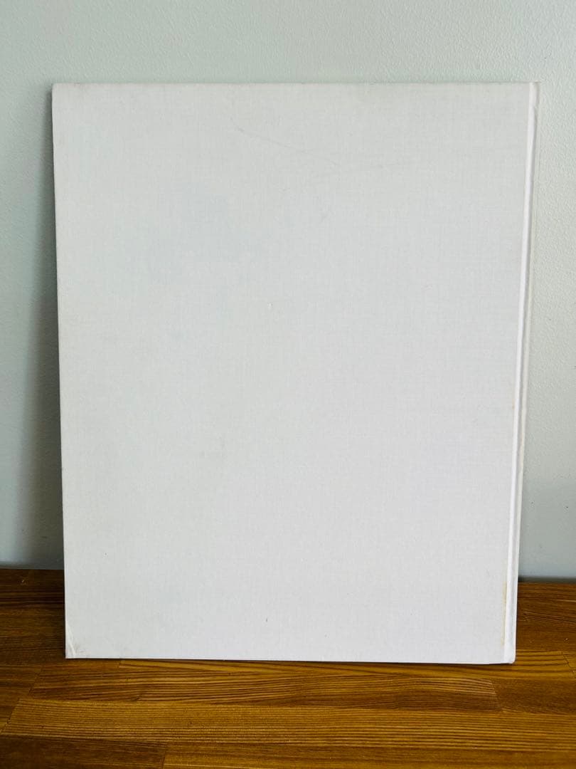 希少　2000部 VULGARIS ロン・ヴァン・ドンゲン 写真集