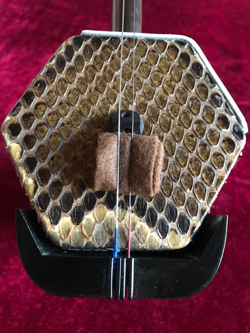 二胡★中古品★錦蛇本皮★完全手入れ★音など確認済み