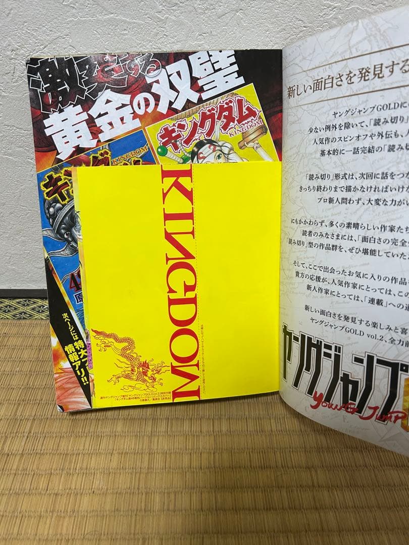 ヤングジャンプ　GOLD vol2 キングダム　48巻　カバー付き