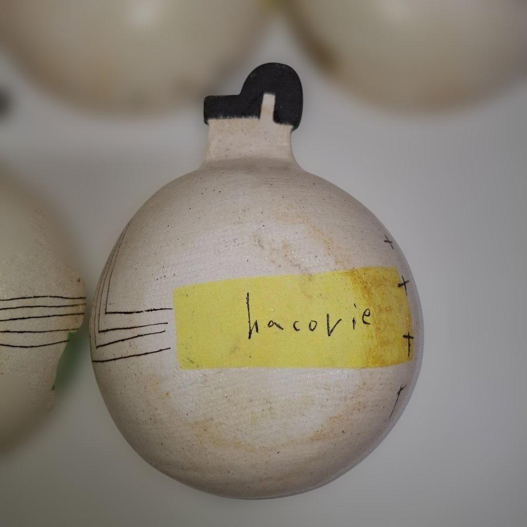 ハコリエ　hacorie ボウル 5個セット