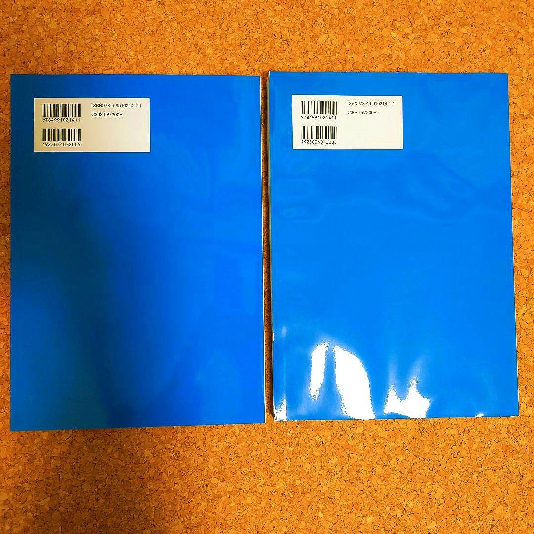 キャリアコンサルティング　キャリアの青本Ⅲ（上）（下）セット