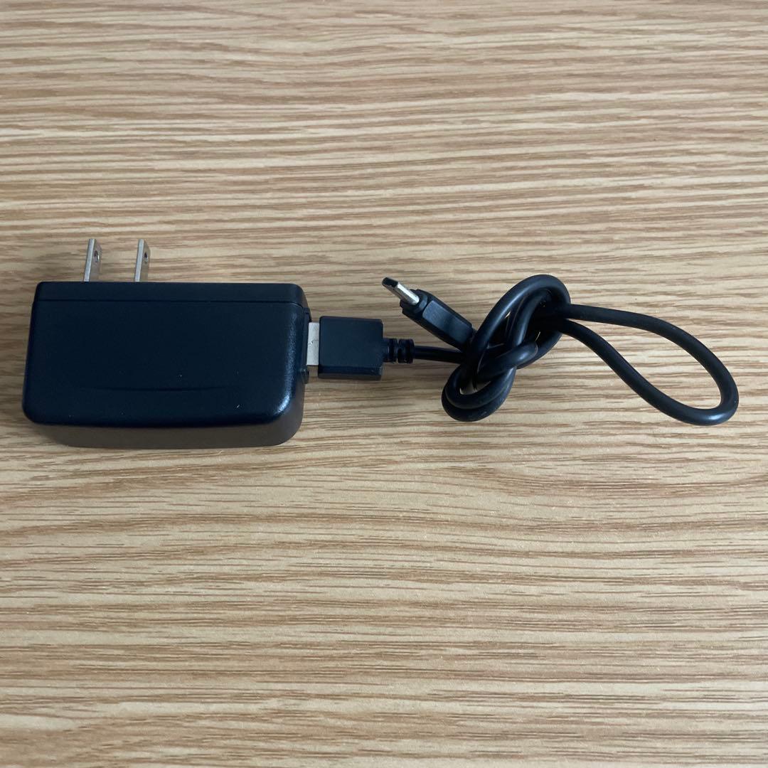 Nintendo Switch Lite ターコイズブルー　充電器付き