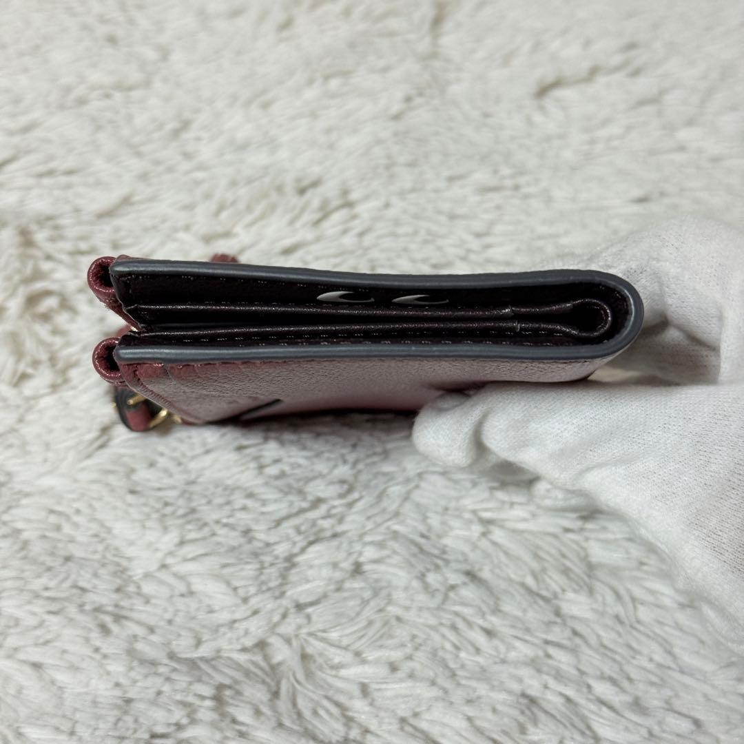 未使用✨アニヤハインドマーチ　ピーピングアイズ　スモールダブルジップ　ウォレット