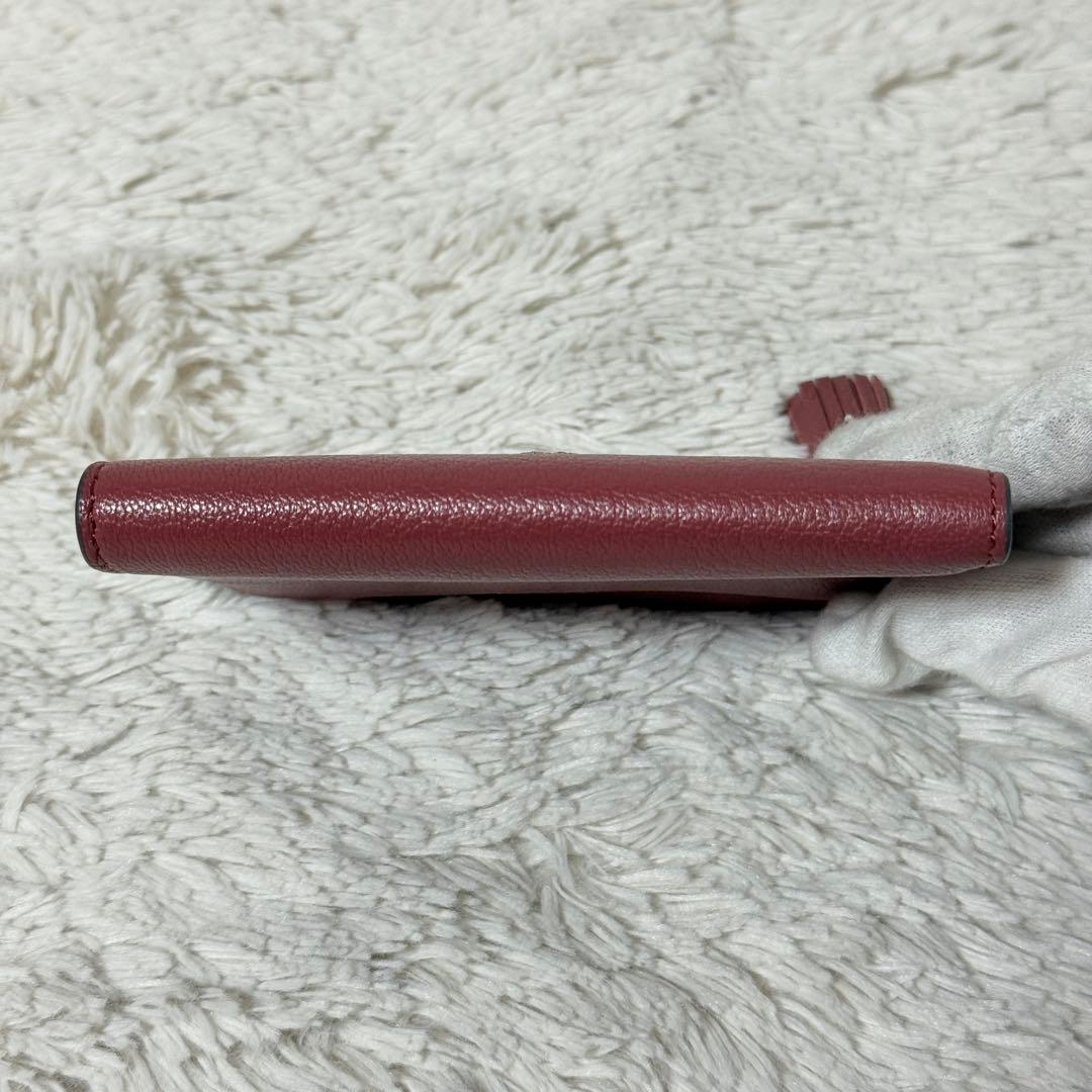 未使用✨アニヤハインドマーチ　ピーピングアイズ　スモールダブルジップ　ウォレット