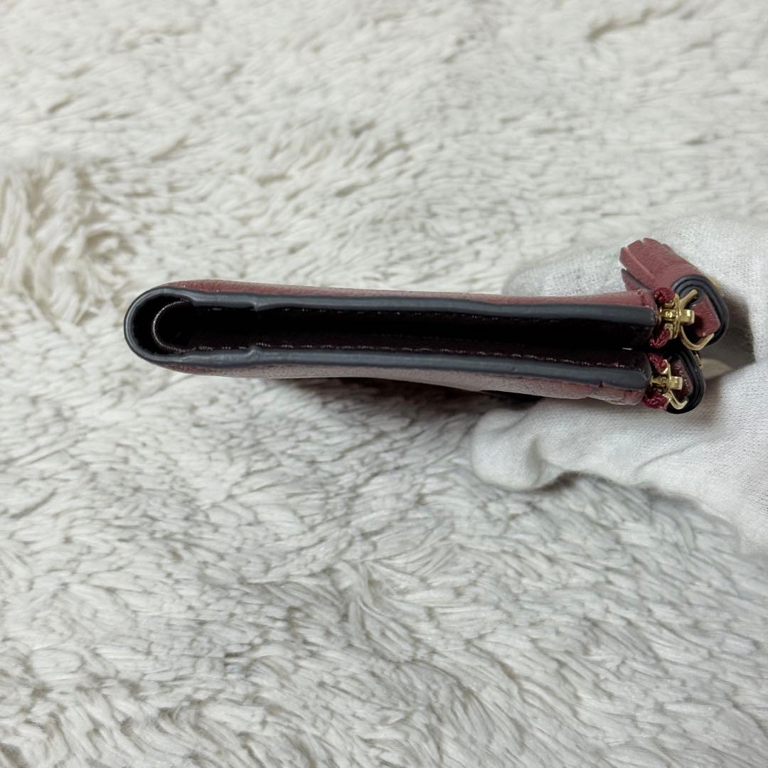 未使用✨アニヤハインドマーチ　ピーピングアイズ　スモールダブルジップ　ウォレット