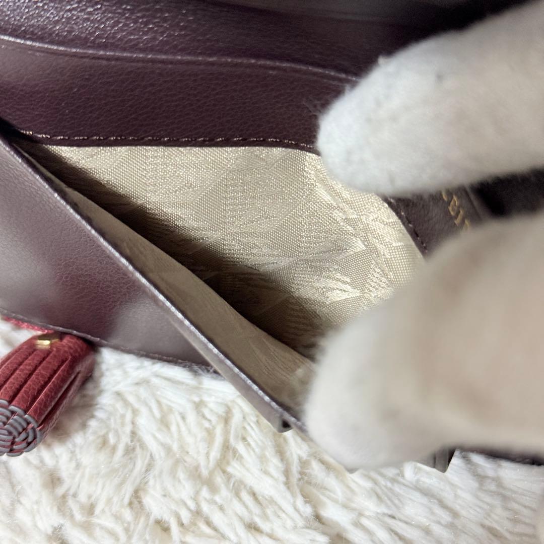 未使用✨アニヤハインドマーチ　ピーピングアイズ　スモールダブルジップ　ウォレット