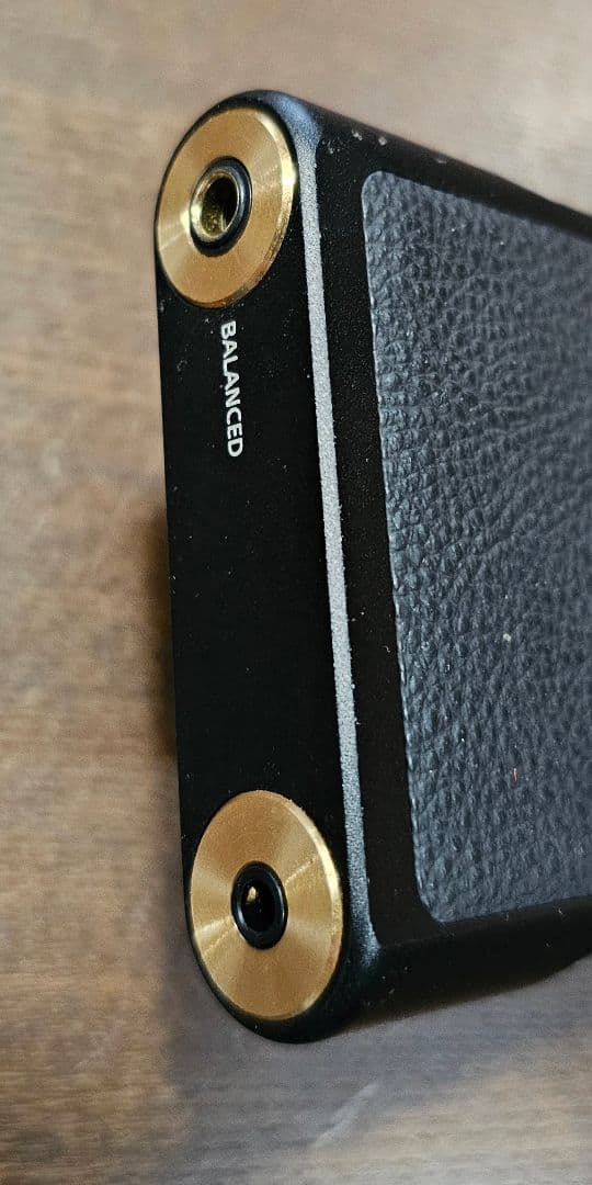 【バッテリー交換済中古美品】SONYウォークマンNW-WM1Aケース、リモコン付