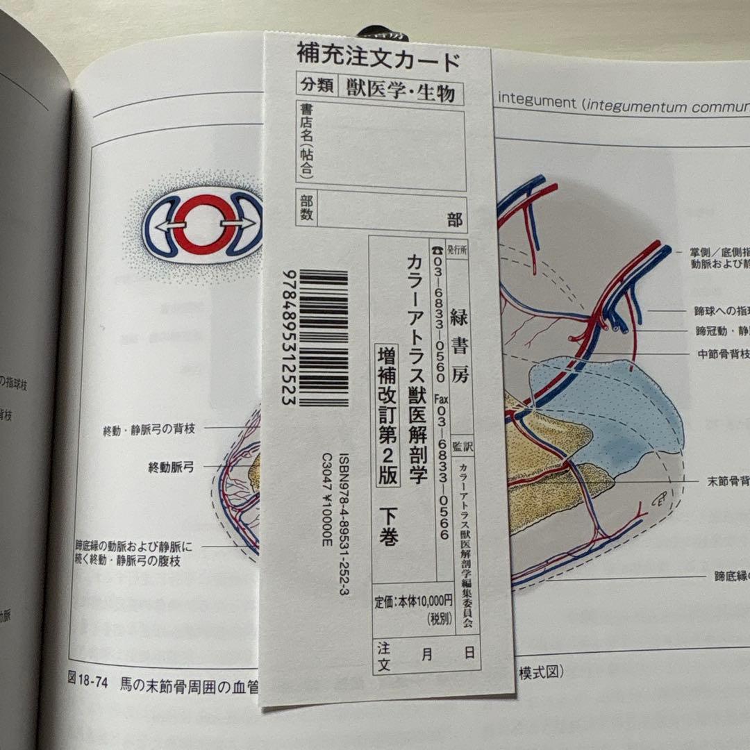 カラーアトラス獣医解剖学 増補改訂第2版 下巻