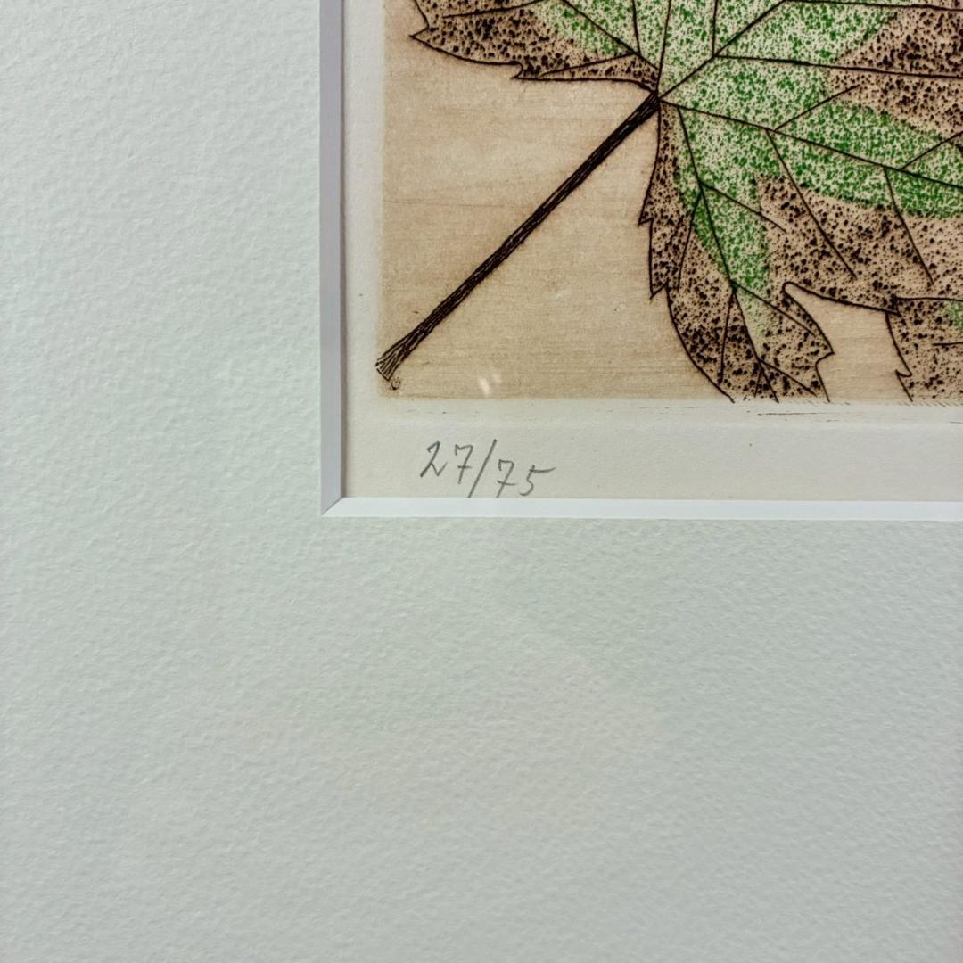 美品 南桂子「２匹の魚」カラーエッチング 銅版画 直筆サイン入 限定75点