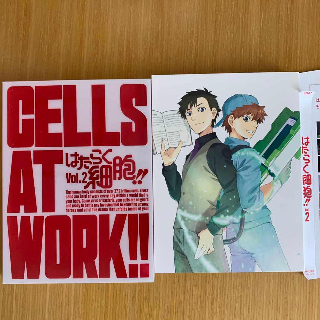 アニメ「はたらく細胞」DVD Vol.1〜4