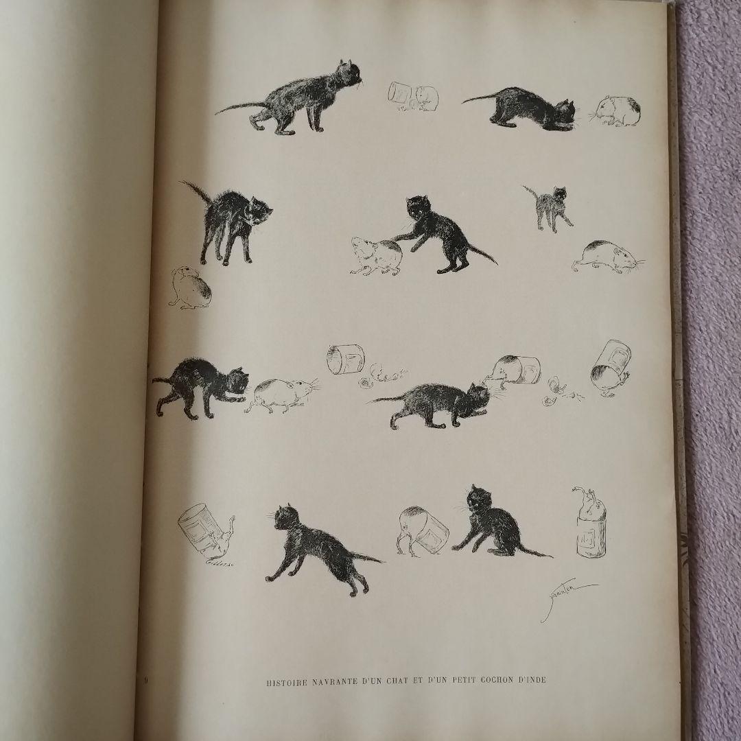 Des Chats par Steinlen 　スタンランの猫　版画集