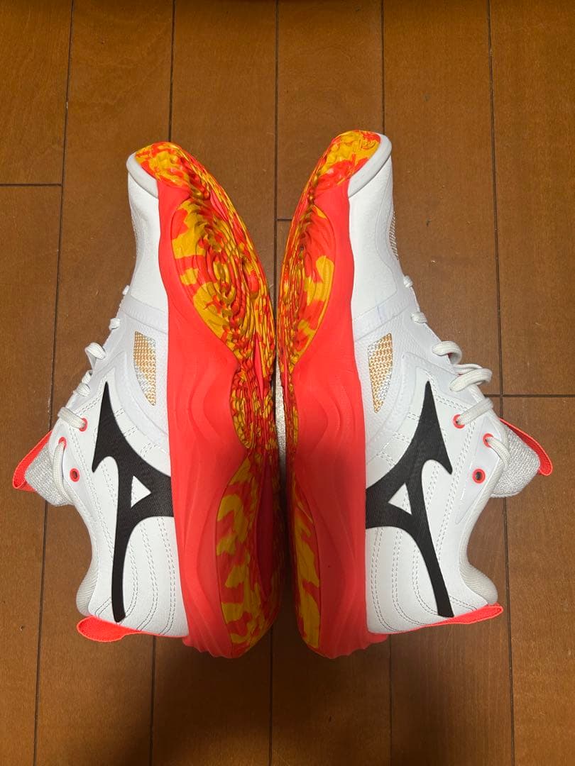 ミズノ　ウェーブモンタナム エリート バレーボールシューズ　25センチ