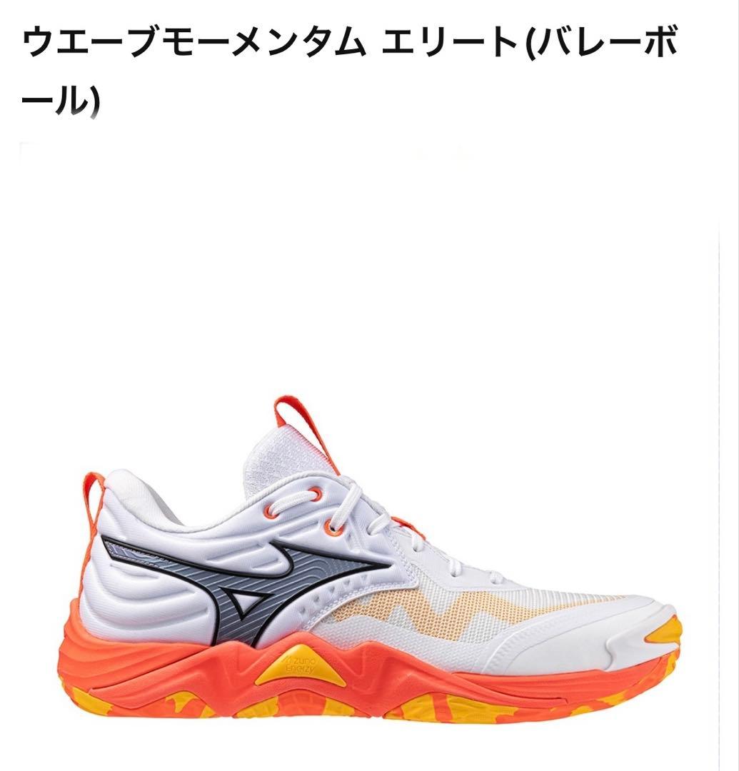 ミズノ　ウェーブモンタナム エリート バレーボールシューズ　25センチ