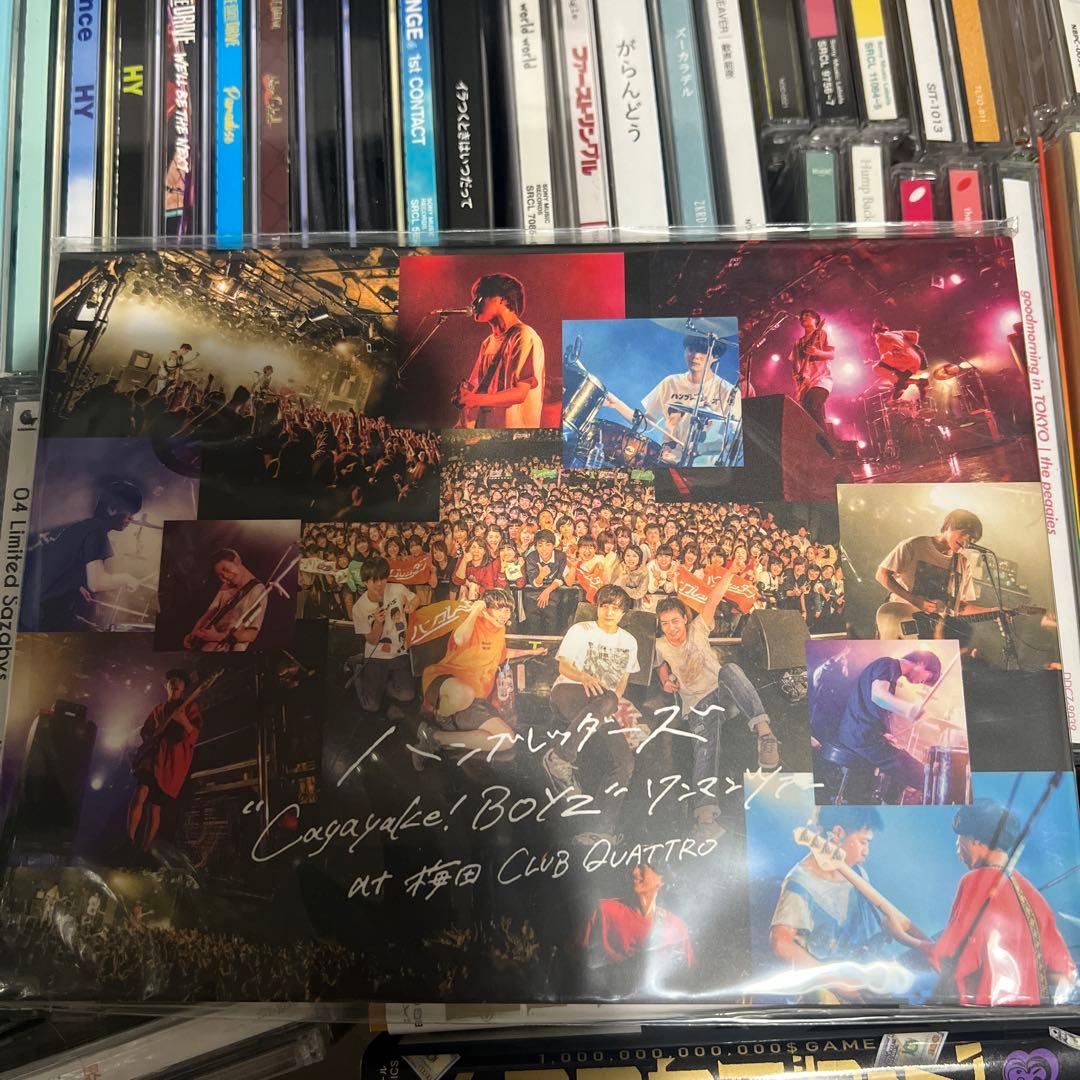 ハンブレッダーズDVD