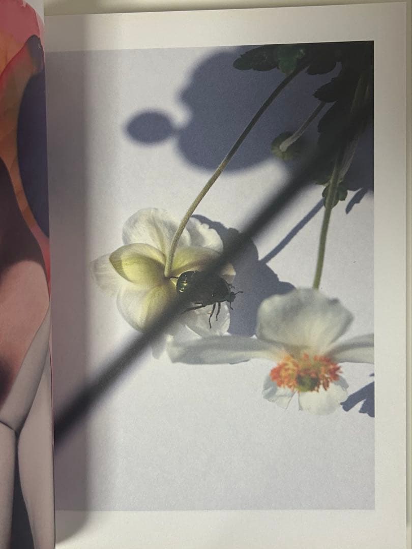 ヴィヴィアン・サッセン,COCCIA Modern Alchemy, サイン入り