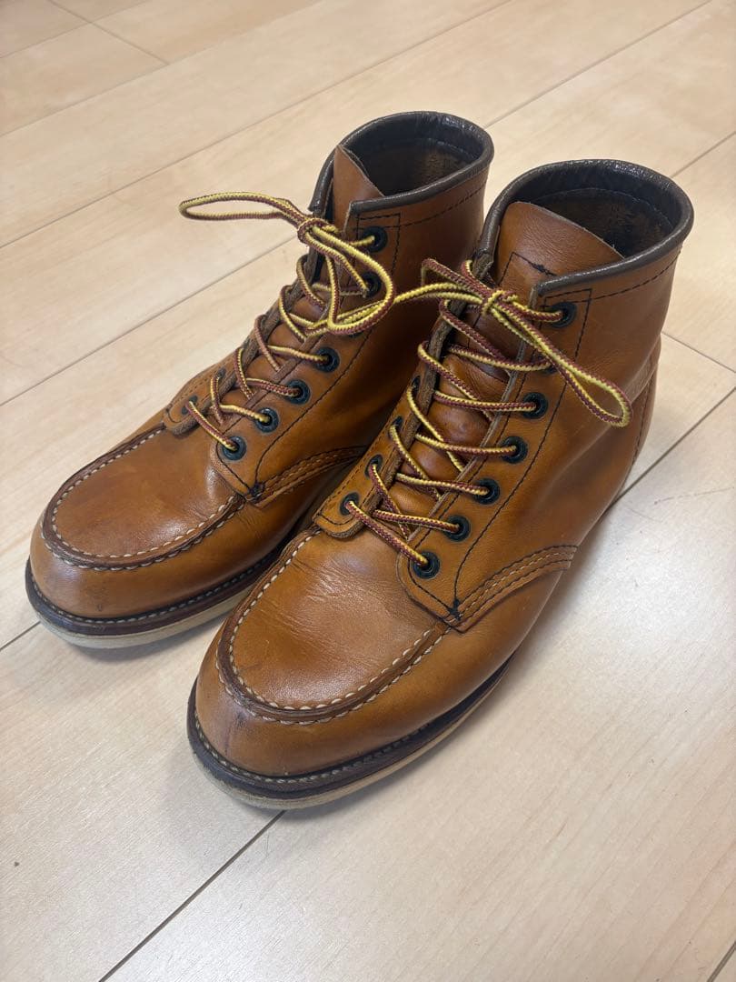 メ*シ様 REDWING 875 アイリッシュセッター
