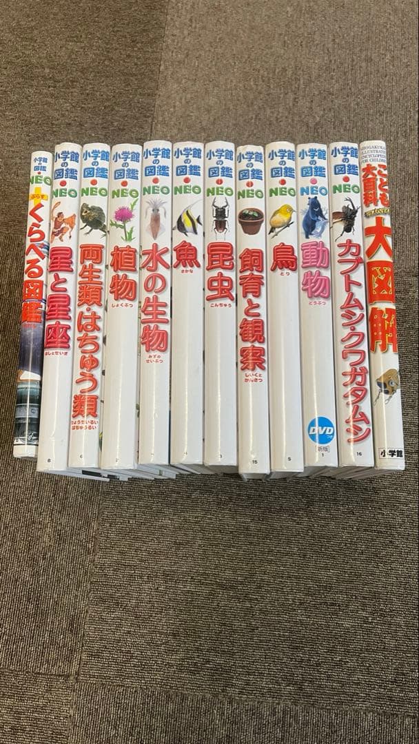 【12冊セット】 小学館の図鑑NEO