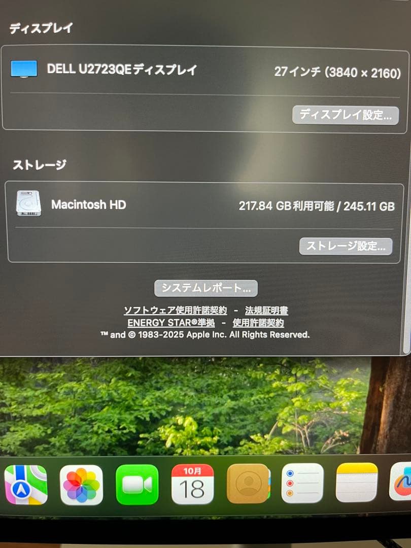 Macデスクトップ Apple Mac mini (M1, 16GB, 256GB)