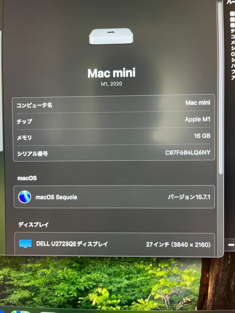 Macデスクトップ Apple Mac mini (M1, 16GB, 256GB)