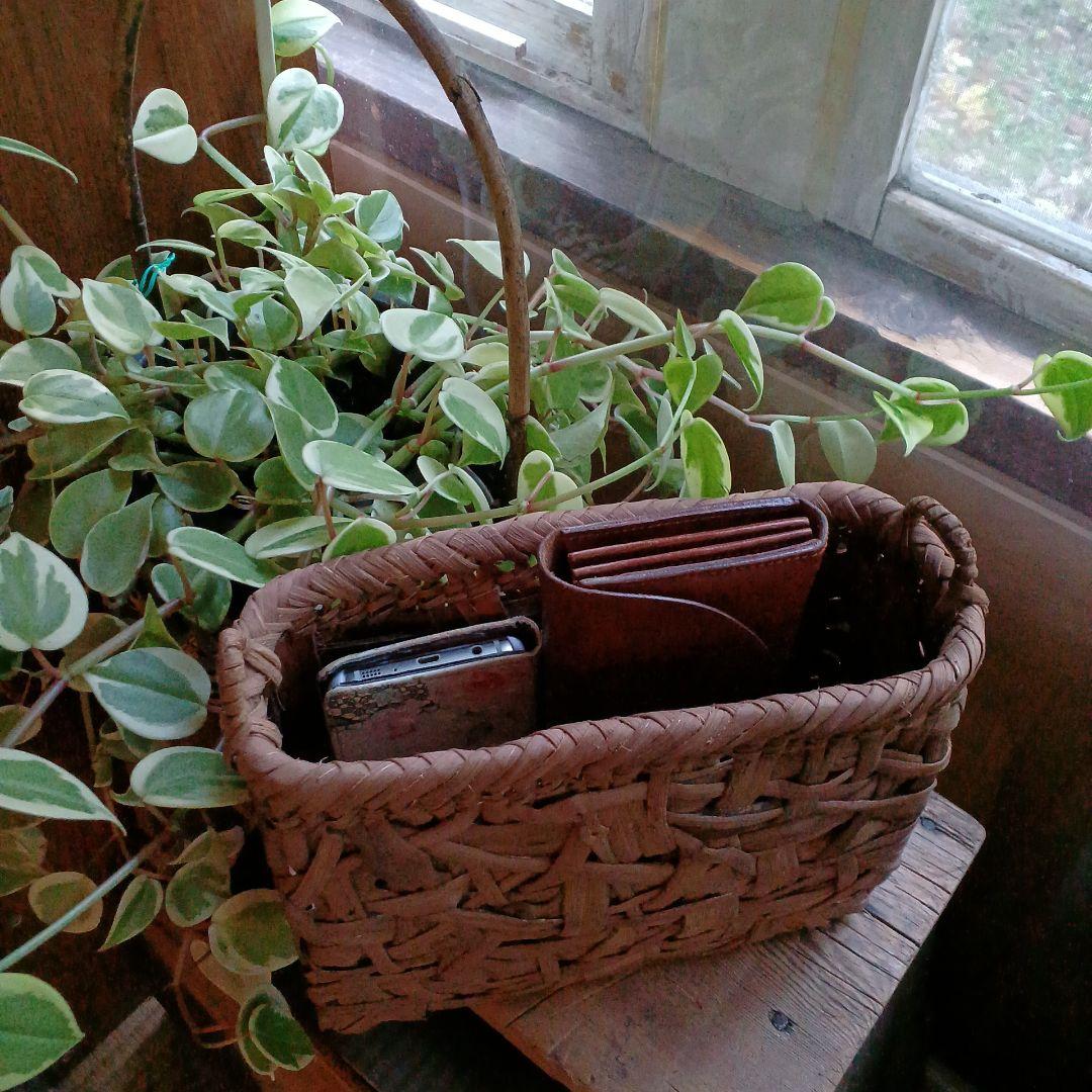 乱れ編みの国産山葡萄ショルダーバッグ