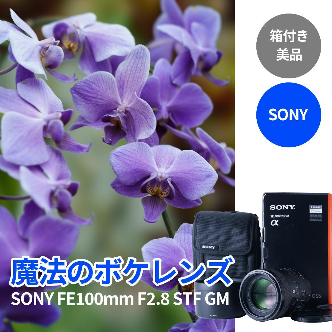 極上美品！魔法のボケ！SONY FE100mm GM STFボケ味特化レンズ