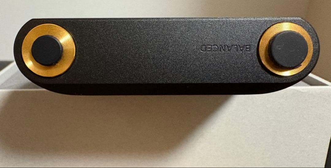 SONY NW-WM1AM2 デジタルオーディオプレーヤーとケース