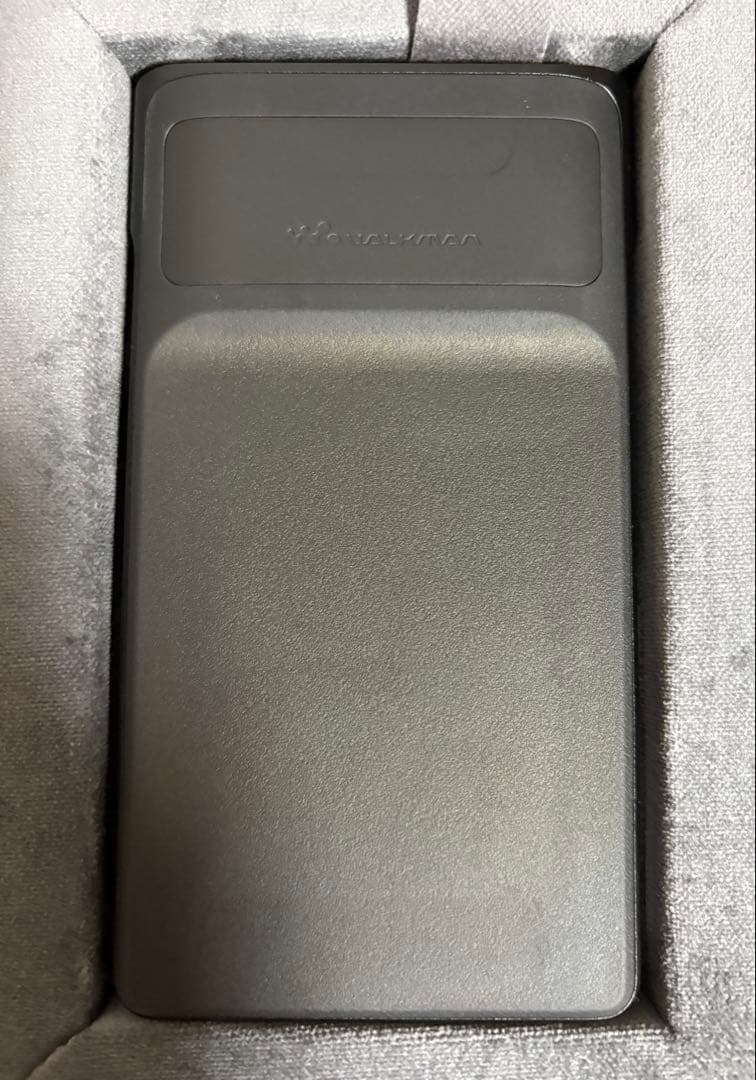 SONY NW-WM1AM2 デジタルオーディオプレーヤーとケース
