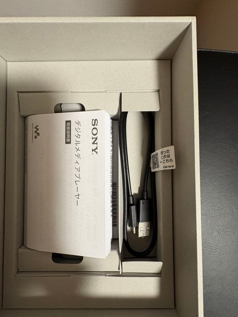 SONY NW-WM1AM2 デジタルオーディオプレーヤーとケース