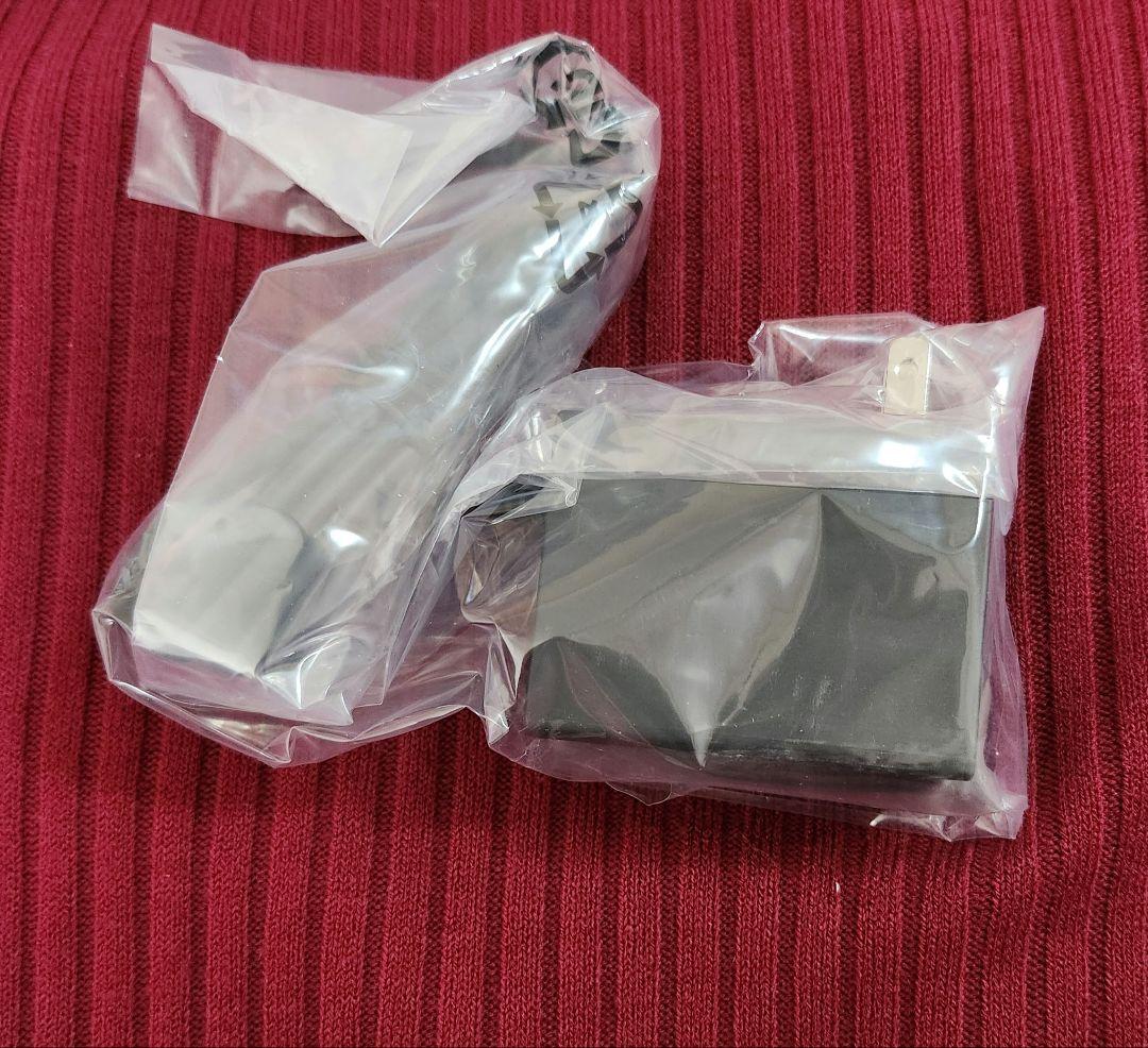 Nintendo Switch Lite 本体　ケース+保護フィルム+保証付き