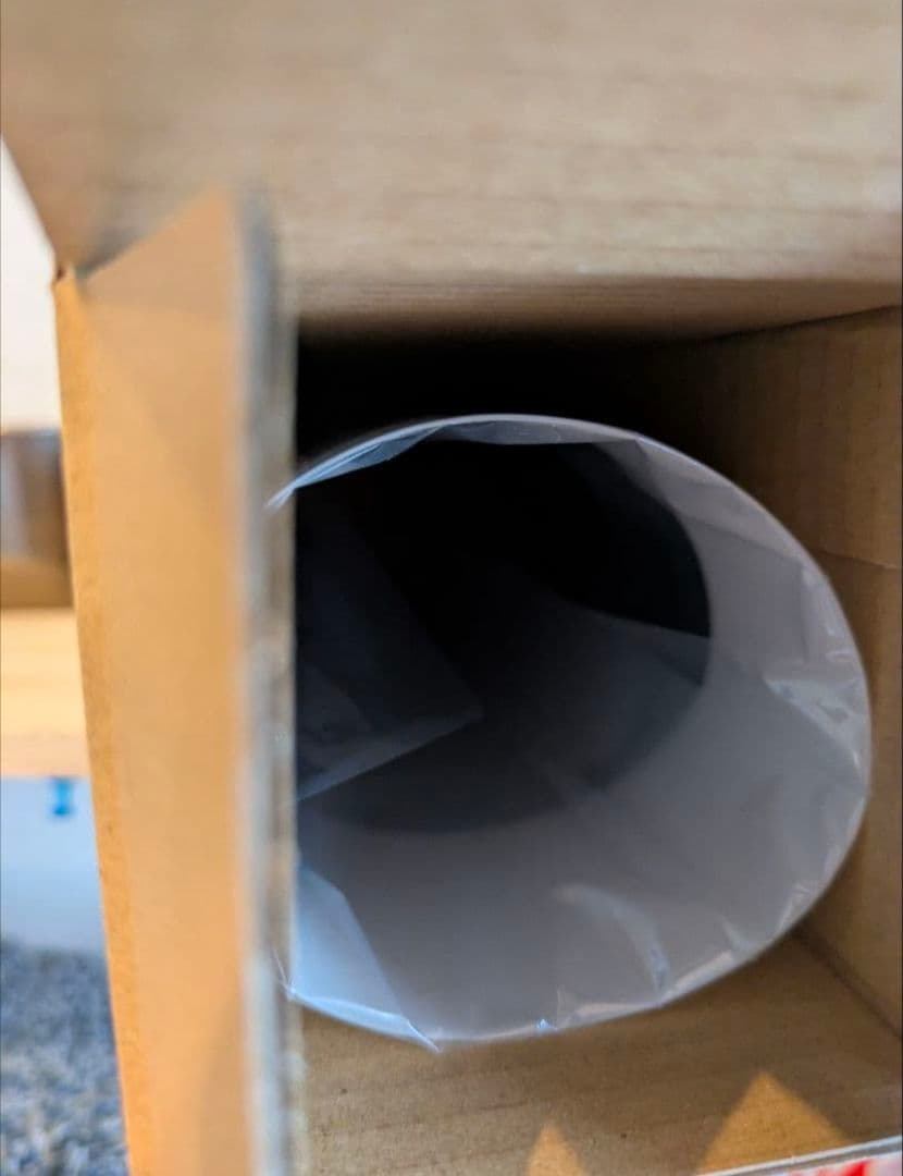 鬼滅の刃　柱展　時透無一郎　キービジュアルポスター　B2 新品