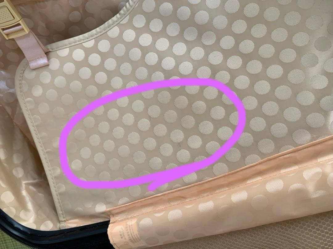 最終お値下げ　キッズトラベル キャリーケース