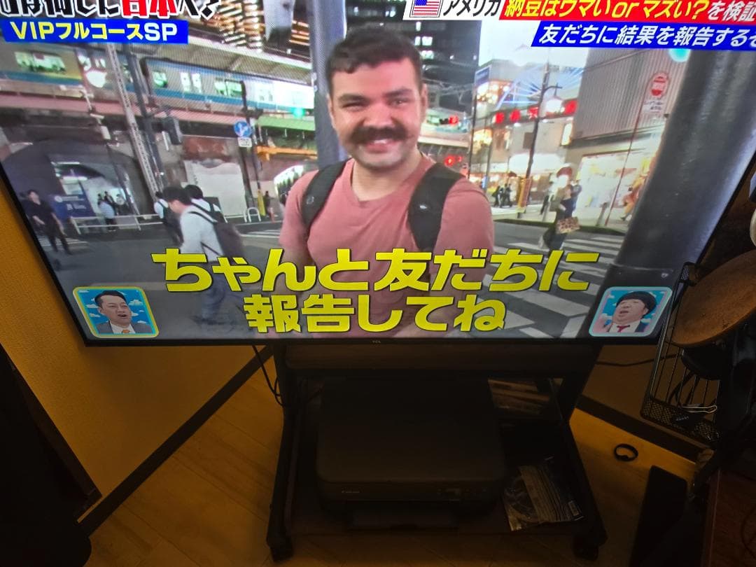 【引取限定】TCL テレビ 50V型 4K 液晶 50V6B 2024年モデル