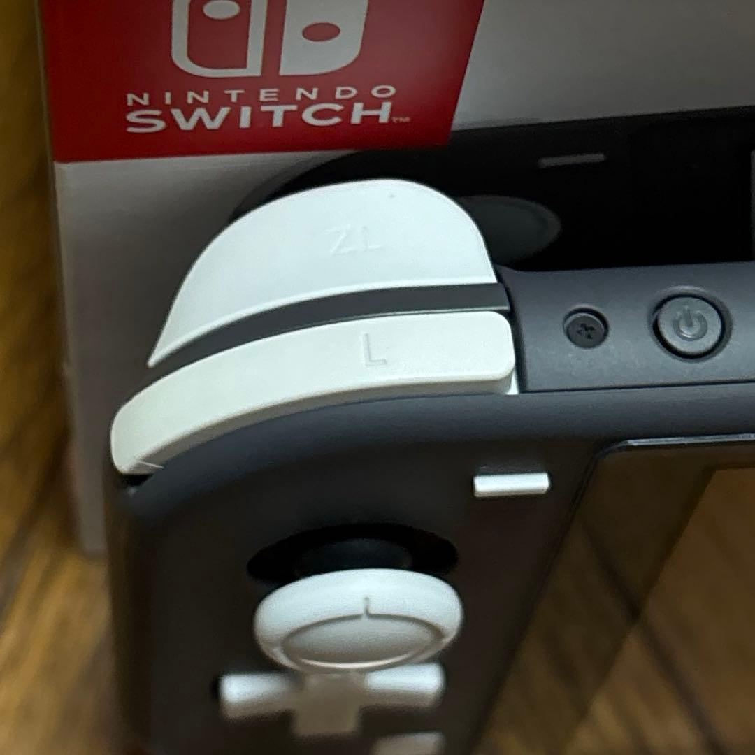 Nintendo switch lite グレー&あつまれどうぶつの森ソフト