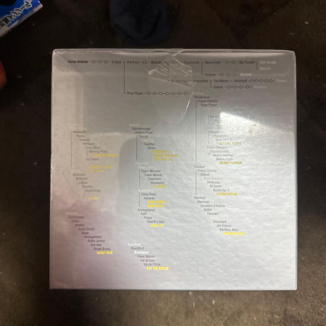 中央競馬GⅠレース総集編 DVDコンプリートBOX 1988-2001〈500…