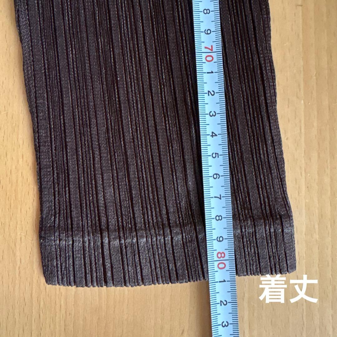 ISSEYMIYAKE プリーツプリーズ　クロップドパンツ　濃ブラウン　美品