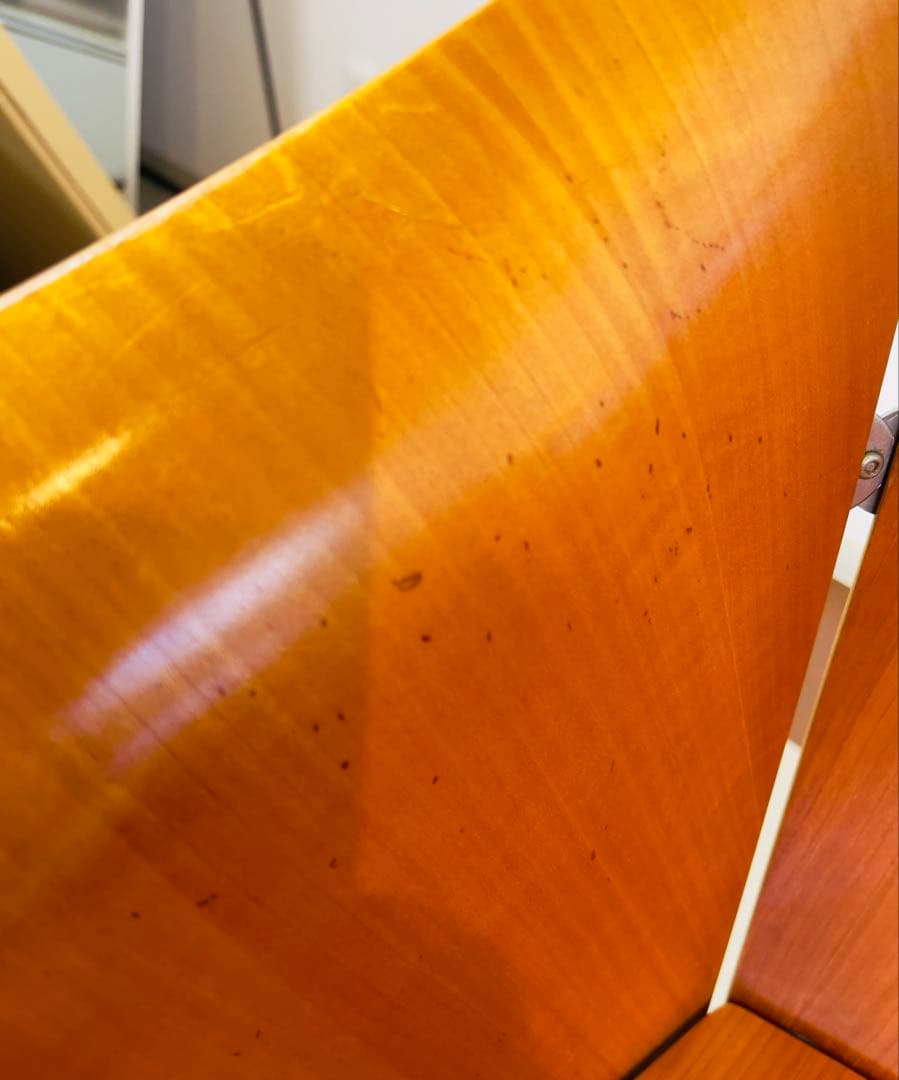 【希少】フリッツ・ハンセン“Bico Chair”