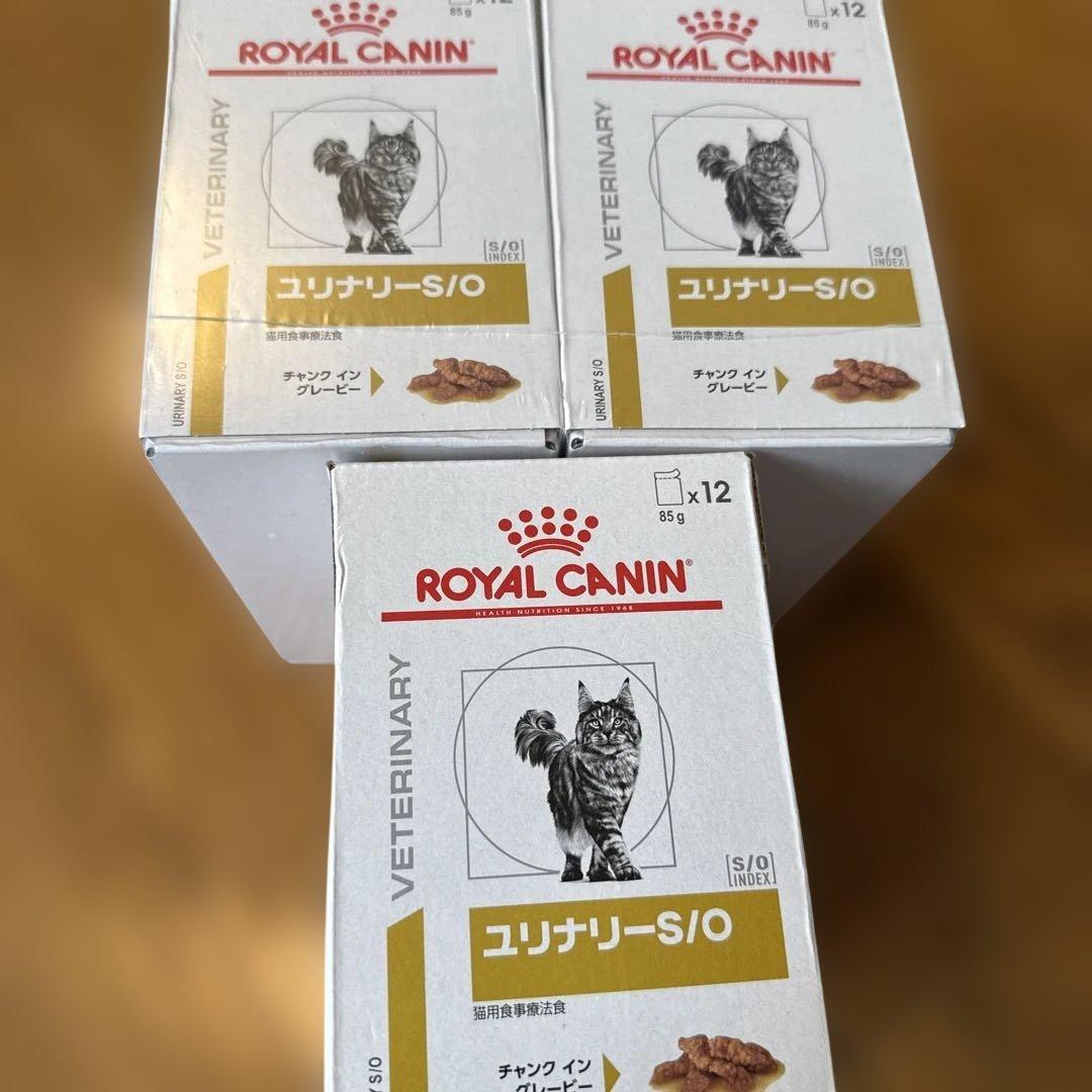 猫 ユリナリーs/oパウチ
