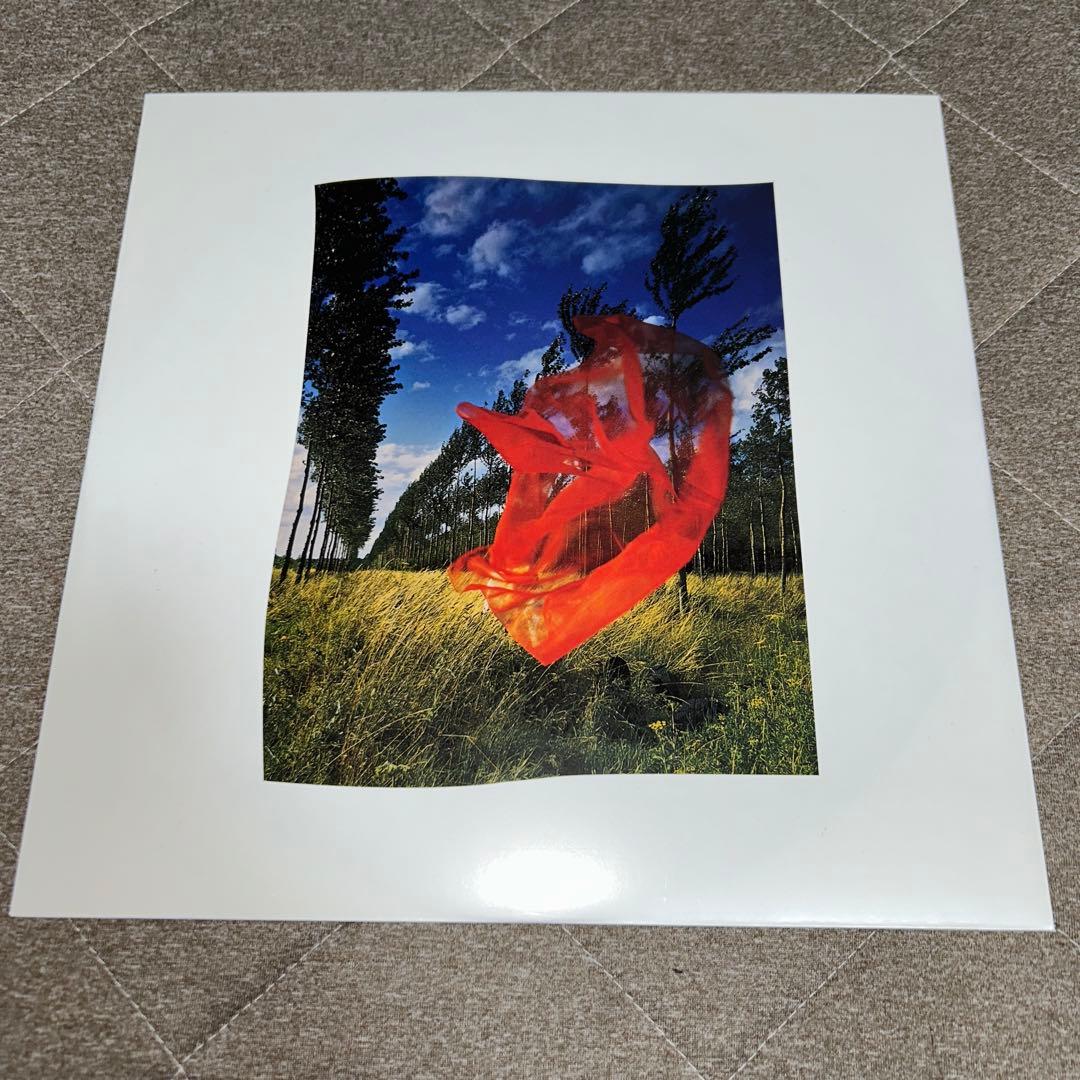 Pink Floyd Wish 限定LPレコード You Were Here