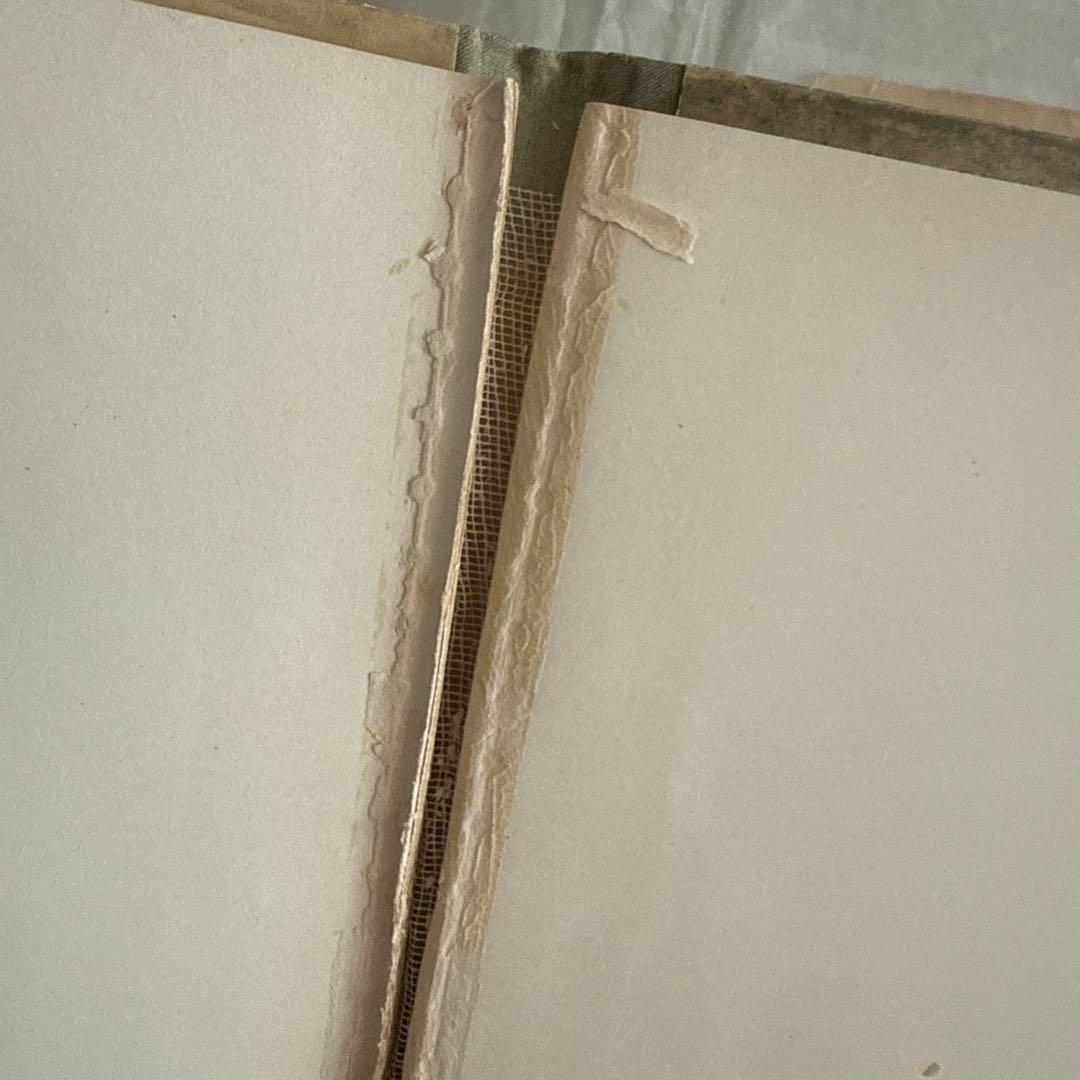 稀少1889年アンティーク美しい挿絵の絵本　洋書　古書ジャンクジャーナル額装に