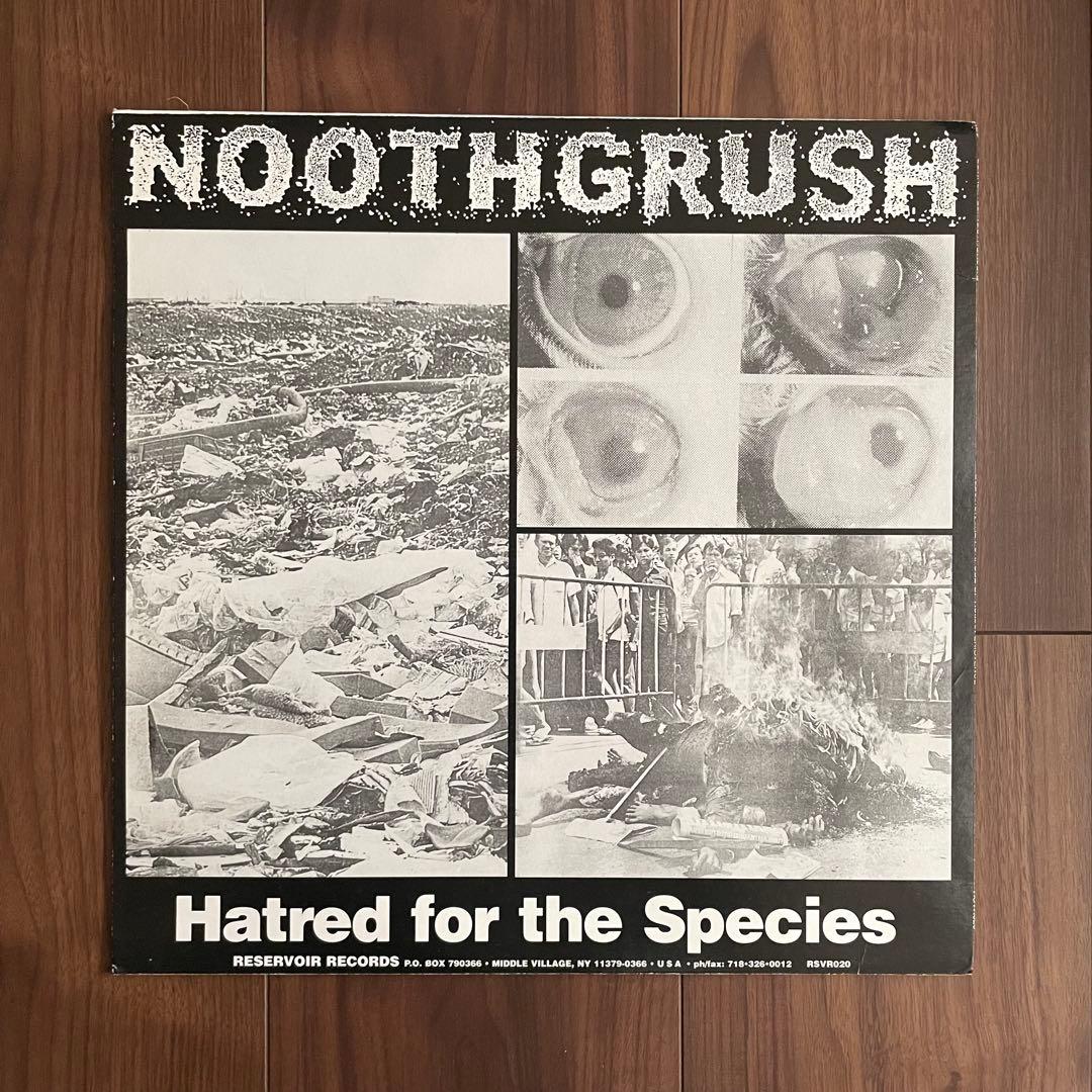レア盤！CORRUPTED / NOOTHGRUSH スプリット レコード